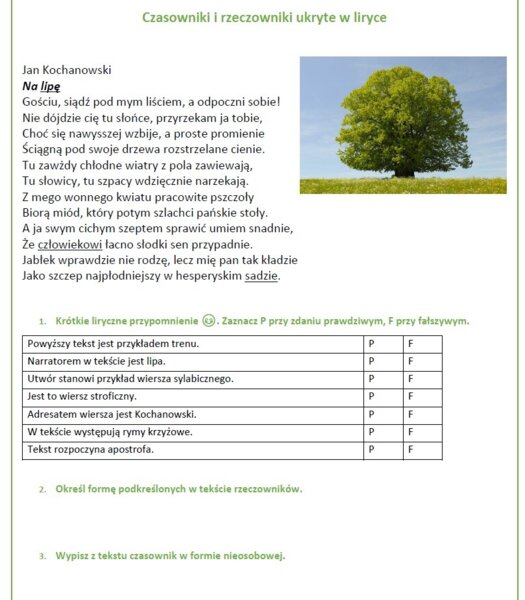 Powtórz przed egzaminem - czasownik, rzeczownik, liryka