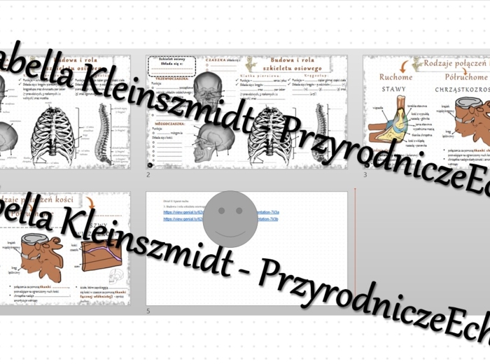 Minizestaw na temat „Budowa i rola szkieletu osiowego” – sketchnotka + karta pracy w power point + gratisowy link do prezentacji multimedialnej niekomercyjnej wykonanej w genial.ly do indywidualnego pobrania i użycia do celów niekomercyjnych. Biologia 7,