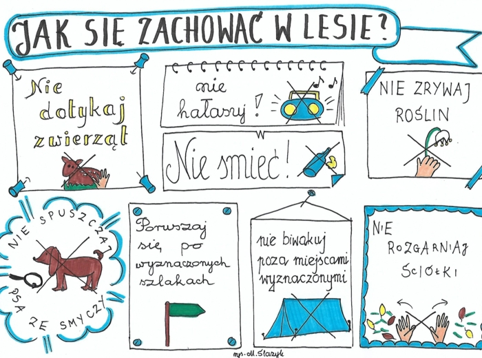 Jak się zachować w lesie?
