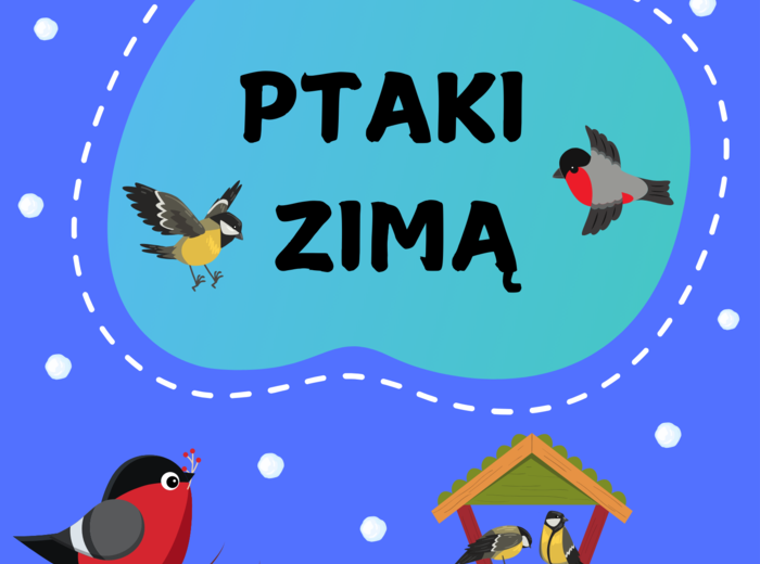 PTAKI ZIMĄ
