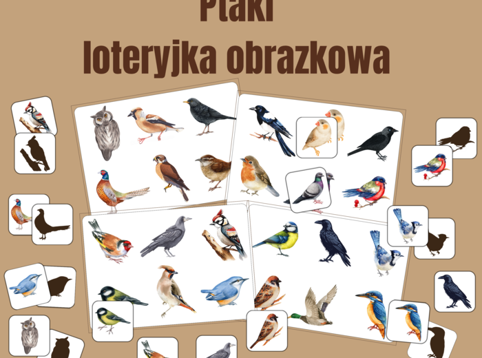 Ptaki - loteryjka obrazkowa