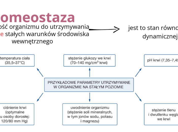 Organizm człowieka jako funkcjonalna całość + skóra KLASA 3 ROZSZERZENIE BIOLOGIA