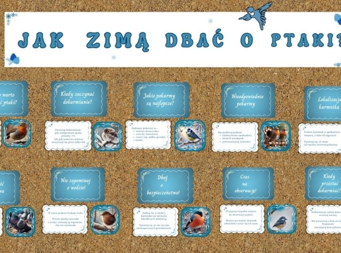 Gazetka o dokarmianiu ptaków zimą w 2 wersjach kolorystycznych.