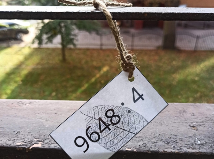 Gra terenowa - DZIELENIE W TERENIE