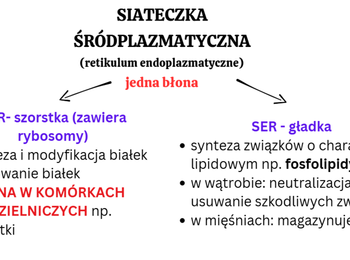 Komórka - podstawowa jednostka życia 1 KLASA ROZSZERZENIE BIOLOGIA