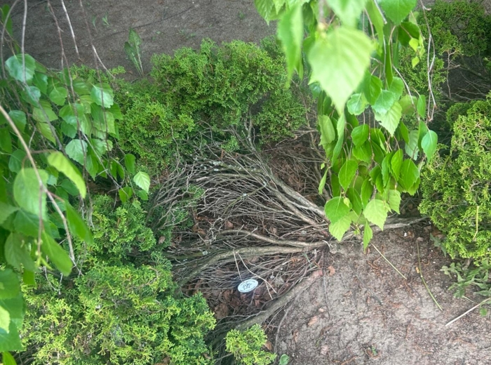 Tropem przyjaźni - gotowy do druku zestaw do zabawy, która porwie całą szkołę!