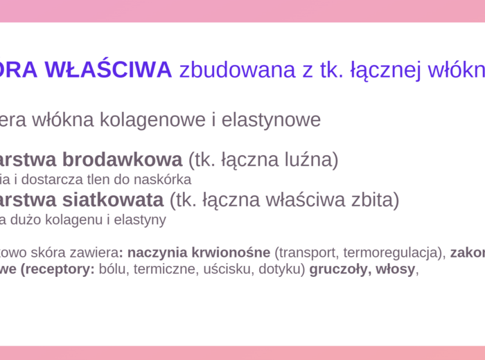 Organizm człowieka jako funkcjonalna całość + skóra KLASA 3 ROZSZERZENIE BIOLOGIA