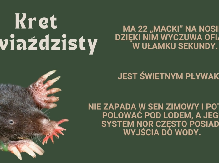Zwierzęta rekordziści - najszybsze, największe, najdziwniejsze - prezentacja pdf