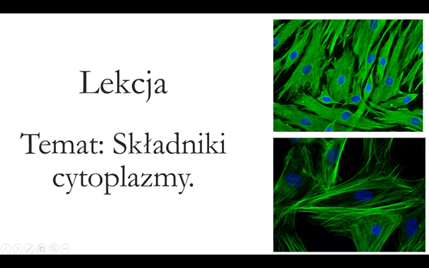 Liceum klasa 1 ( podstawa) - Składniki cytoplazmy - prezentacja