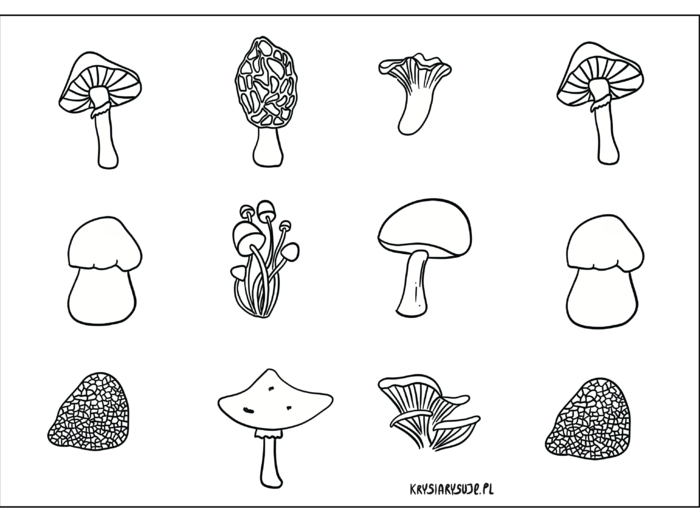 Grzyby. Kolorowanka