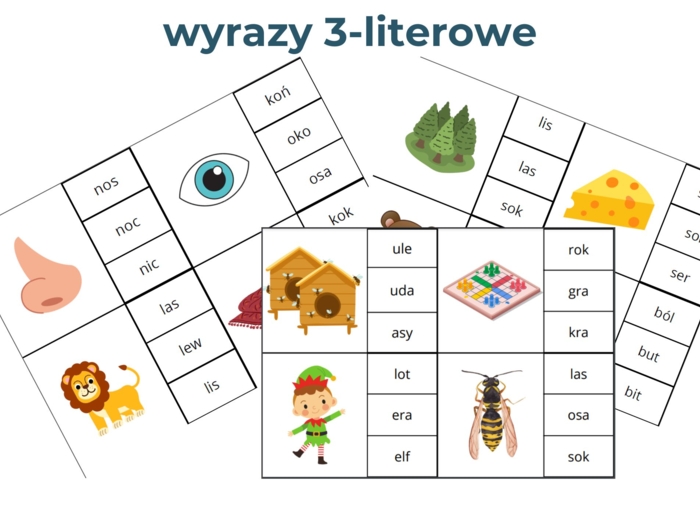 Wyrazy 3-literowe (małe litery) zabawa klamerkowa