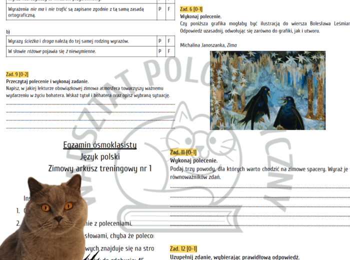 Zimowy egzamin ósmoklasisty - arkusz treningowy nr 1