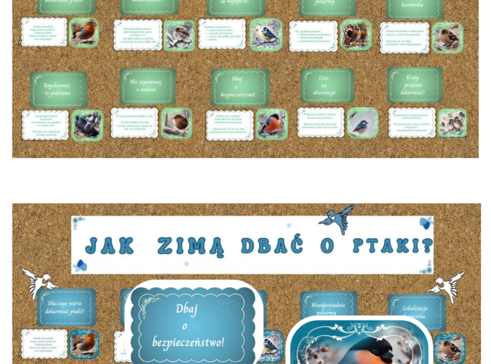 Gazetka o dokarmianiu ptaków zimą w 2 wersjach kolorystycznych.