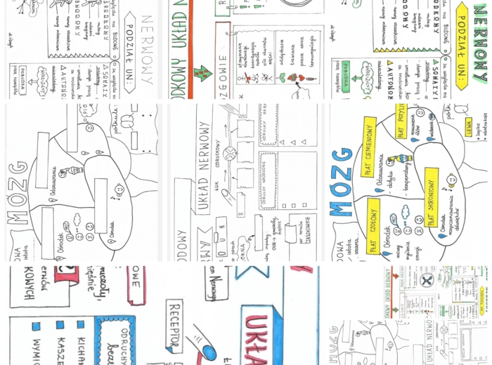 UKŁAD NERWOWY - KLASA 7
