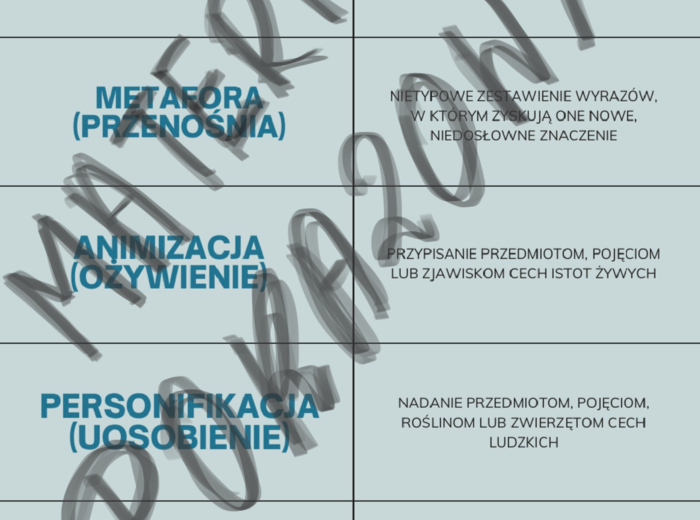 Środki stylistyczne