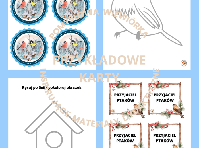 PTAKI ZIMĄ