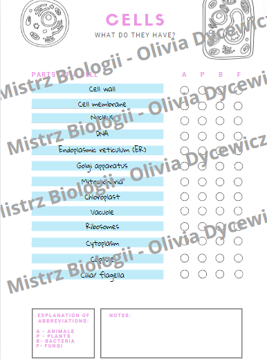 Komórki - porównanie ENG angielskie słownictwo