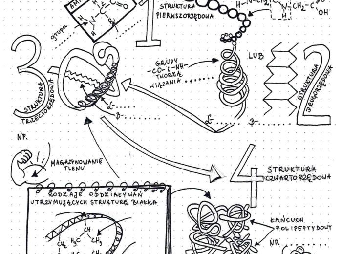 Poziomy organizacji białek