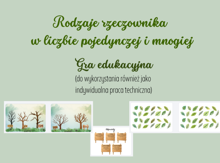 Rodzaje rzeczownika - gra
