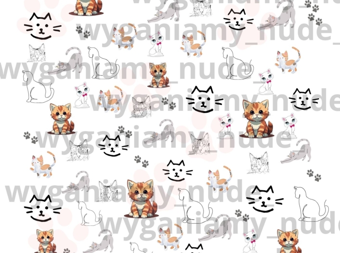 Dzień Kota - kocia wyszukiwanka