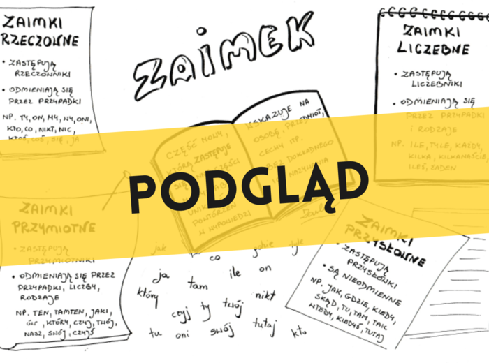 Zaimek - wklejka i ćwiczenie