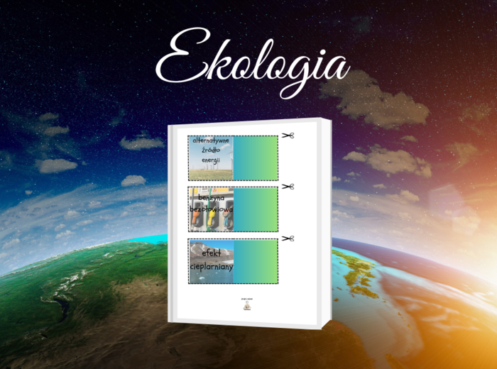 Gra dydaktyczna „Memory – ekologia”