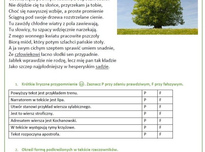Powtórz przed egzaminem - czasownik, rzeczownik, liryka