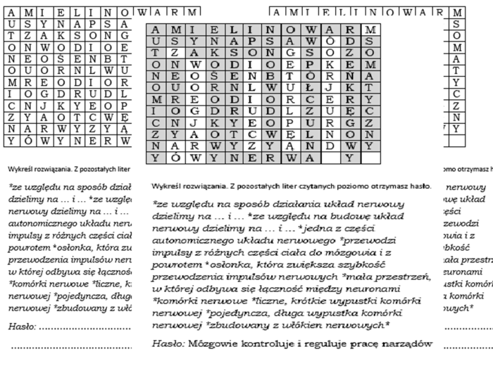 Wykreślanka dla klasy 7 na podsumowanie lekcji o budowie i roli układu nerwowego