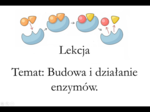 Klasa 1 (rozszerzenie) - Budowa i działanie enzymów - prezentacja
