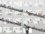 Zestaw sketchnotek i kart pracy + gratisowe linki do prezentacji multimedialnych niekomercyjnych wykonanych w genial.ly do indywidualnego pobrania i użycia do celów niekomercyjnych. Geografia 5, „Krajobrazy Polski”
