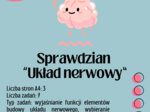 Sprawdzian z biologii – Układ nerwowy | Klasa 7 | NOWA PODSTAWA PROGRAMOWA