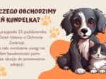 Dzień Kundelka - prezentacja pdf