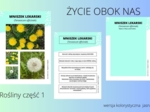 Rośliny część 1 - karty roślin (do pracy samodzielnej) – wersja kolorystyczna jasna