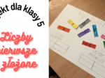 Liczby pierwsze i złożone klasa 5 - pomysł na kreatywną lekcję