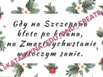 Zimowe i bożonarodzeniowe plakaty z przysłowiami