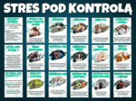 STRES POD KONTROLĄ- Gazetka szkolna