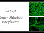 Liceum klasa 1 ( podstawa) - Składniki cytoplazmy - prezentacja