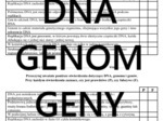 GENOM I STRUKTURA GENU - kartkówka
