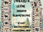 Zwierzęta leśne zabawy klamerkowe CIENIE