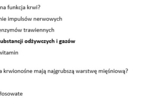 Test- krążenie krwi w organizmie człowieka