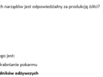 Test- układ pokarmowy i odżywianie człowieka