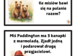 DZIEŃ PLUSZOWEGO MISIA