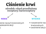 Organizm człowieka jako funkcjonalna całość + skóra KLASA 3 ROZSZERZENIE BIOLOGIA