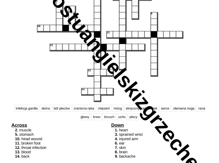 Super Powers 6 – Unit 4 – krzyżówki