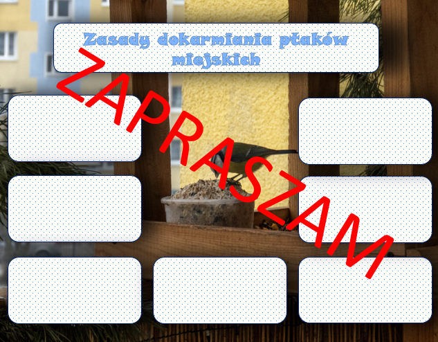 Jak dokarmiać ptaki miejskie - plansza