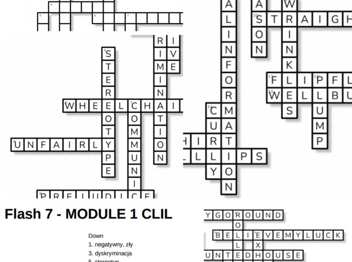 Flash 7 – Module 1 – krzyżówki