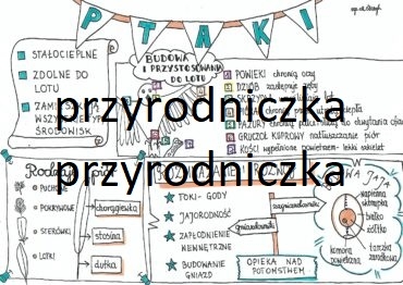 Klasa 6. Biologia. Ptaki