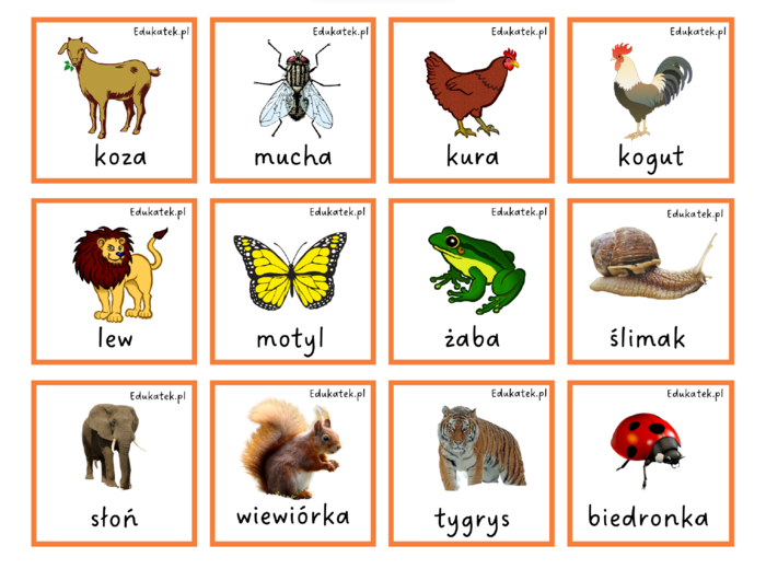 Gra typu memory – utrwalanie czytania