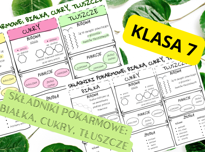 Biologia 7. Składniki pokarmowe: białka, cukry, tłuszcze
