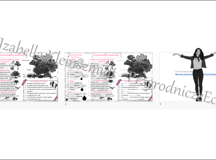 Mini zestaw do tematu „Las ma budowę warstwową” - sketchnotka + karta pracy + gratisowy link do prezentacji multimedialnej niekomercyjnej wykonanej w genial.ly do indywidualnego pobrania i użycia do celów niekomercyjnych. Przyroda klasa 4, dział VIII „Od